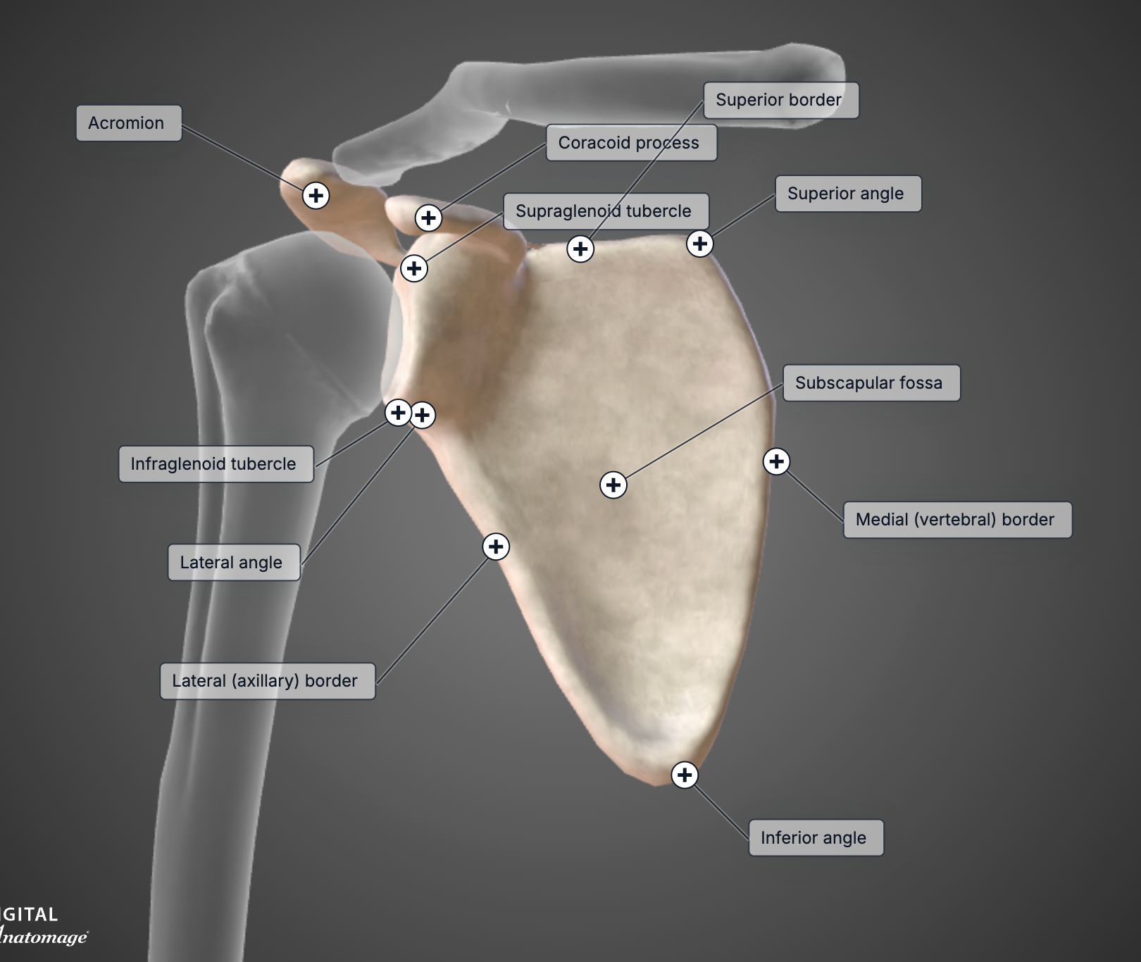 screenshot 2026 03 23 at 10.48.06 am